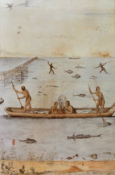 Indiani che pescano da John White